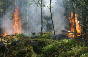 Das Landratsamt informiert:  Waldbrandgefahr: Grill- und Feuerstellen im Wald gesperrt